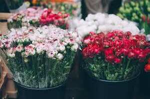 Flower & Gift Shop